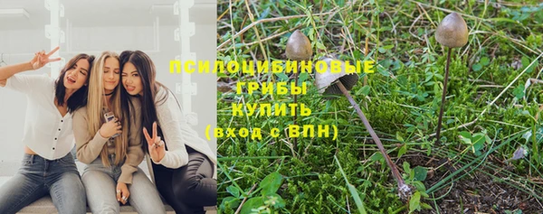тгк Абдулино