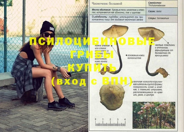 тгк Абдулино