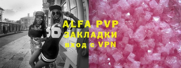 стафф Алексин