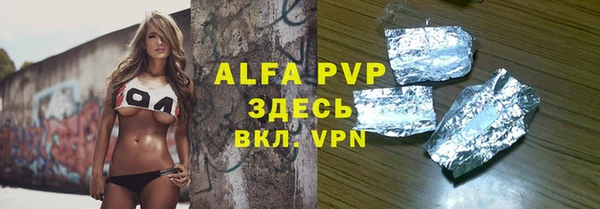 спиды Новозыбков