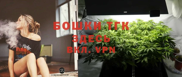 стафф Алексин