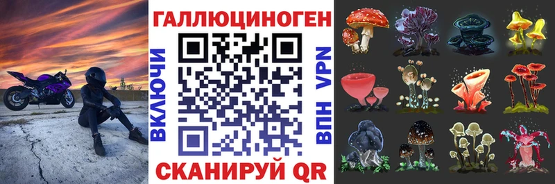 ссылка на мегу tor  Канск  Псилоцибиновые грибы GOLDEN TEACHER 
